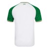 Maillot de Supporter Irlande Troisième 2024-25 Pour Homme